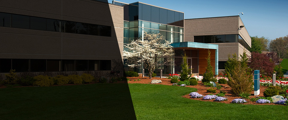 Waddell Landscapers