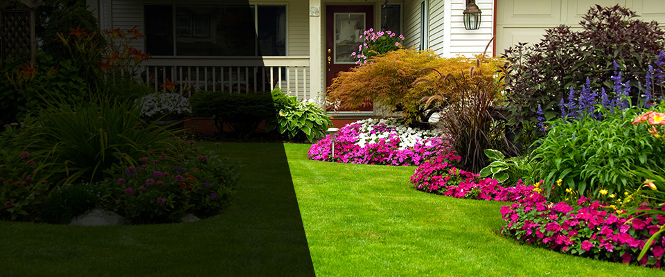 Waddell Landscapers