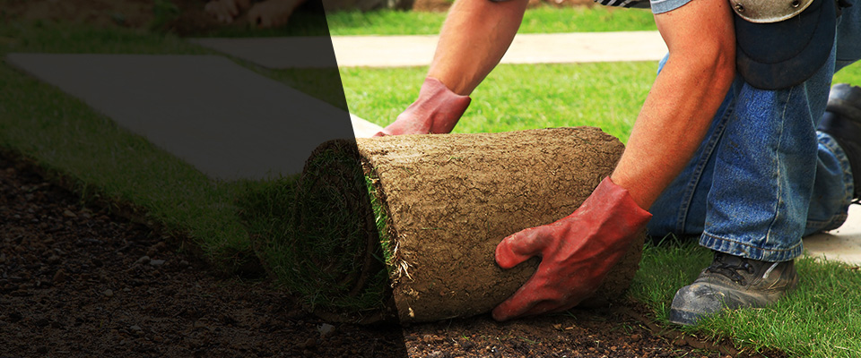 Waddell Landscapers